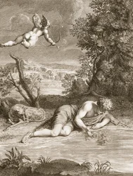 Narcissus Transformed into a Flower, 1730
